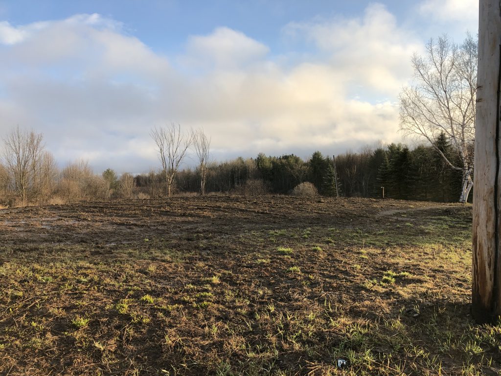 13590 Duanesburg Road Delanson NY 12053 April 3, 2020 Site of explosion and fire has been filled in